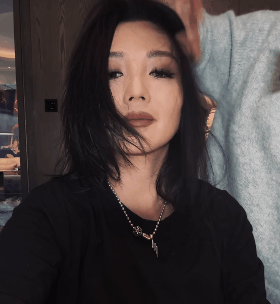 雷竞技RAYBET《浪姐5》女星美貌前十排名：周扬青第七尚雯婕第五柳岩第三(图9)