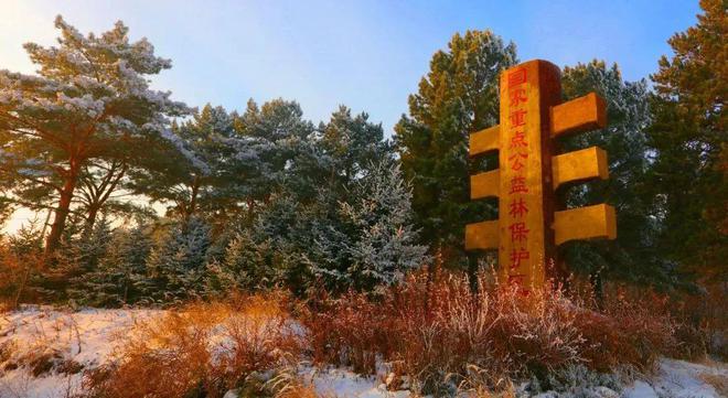 果断收藏！带上这份梅里斯假期游玩攻略冲向春天(图10)