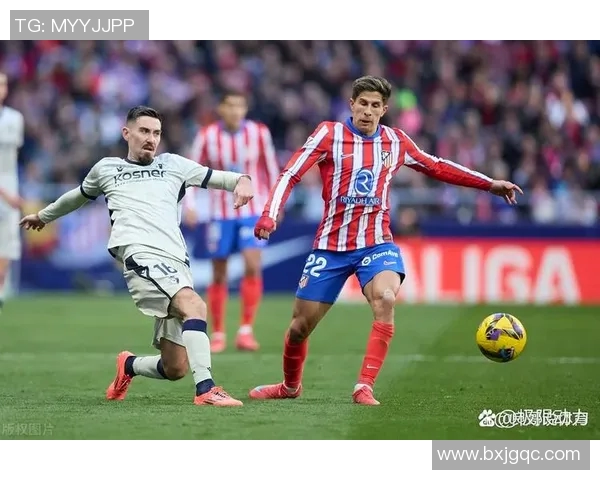 马德里竞技与皇家球队激战正酣谁能在西甲赛场笑到最后