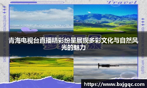 青海电视台直播精彩纷呈展现多彩文化与自然风光的魅力